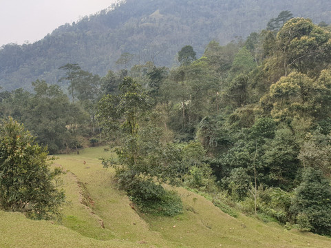 Ha Giang Primitive Tour-Viet Quang必去景点