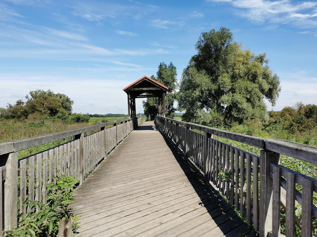 Brucke von Andau景点图片