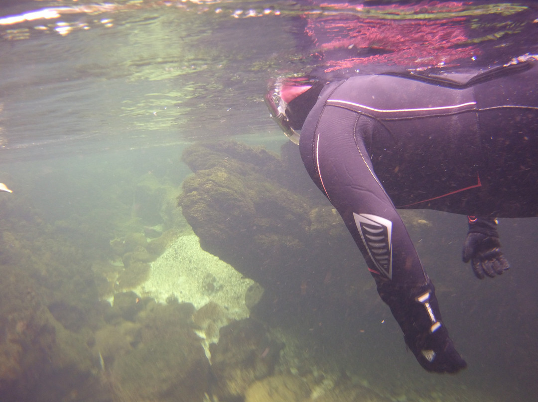 Magic Dive - Flusstauchen am Traunfall-Roitham必去景点