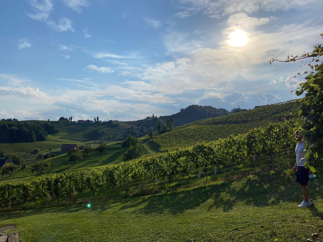 Vino Valdhuber-Zgornja Kungota必去景点