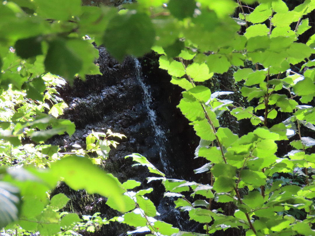 Trull Waterfall景点图片