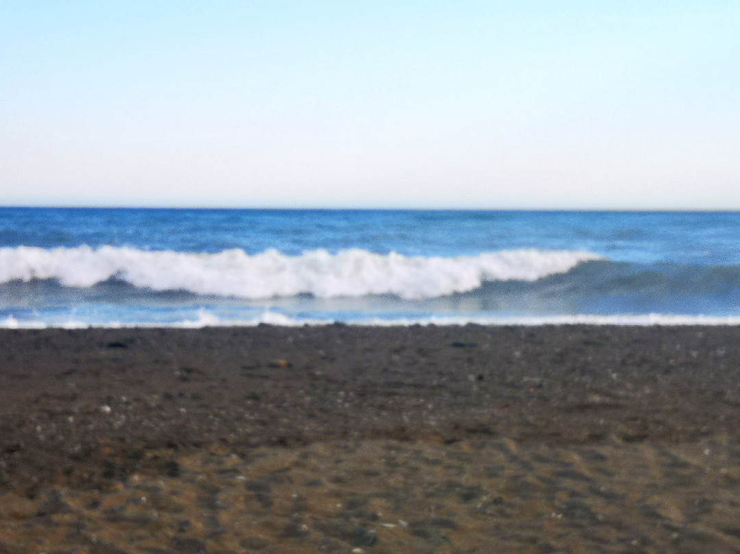 Palya de Benajarafe景点图片