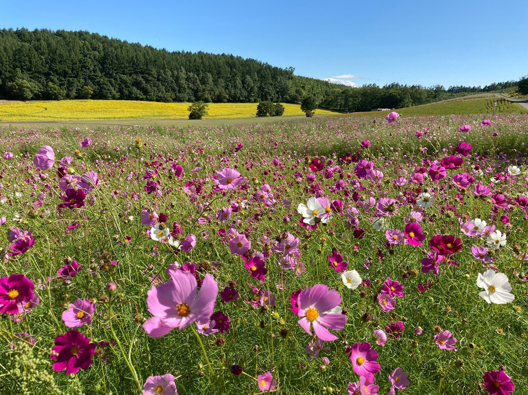 Engaru sun hills park-远轻町必去景点