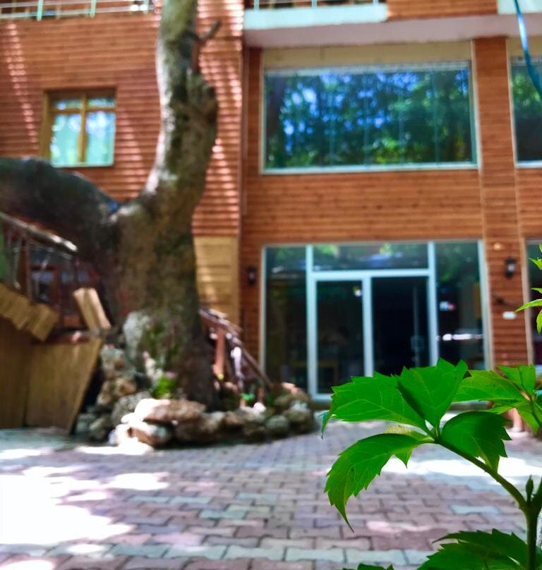 Kapuzbasi Selalesi Sahin Motel主图