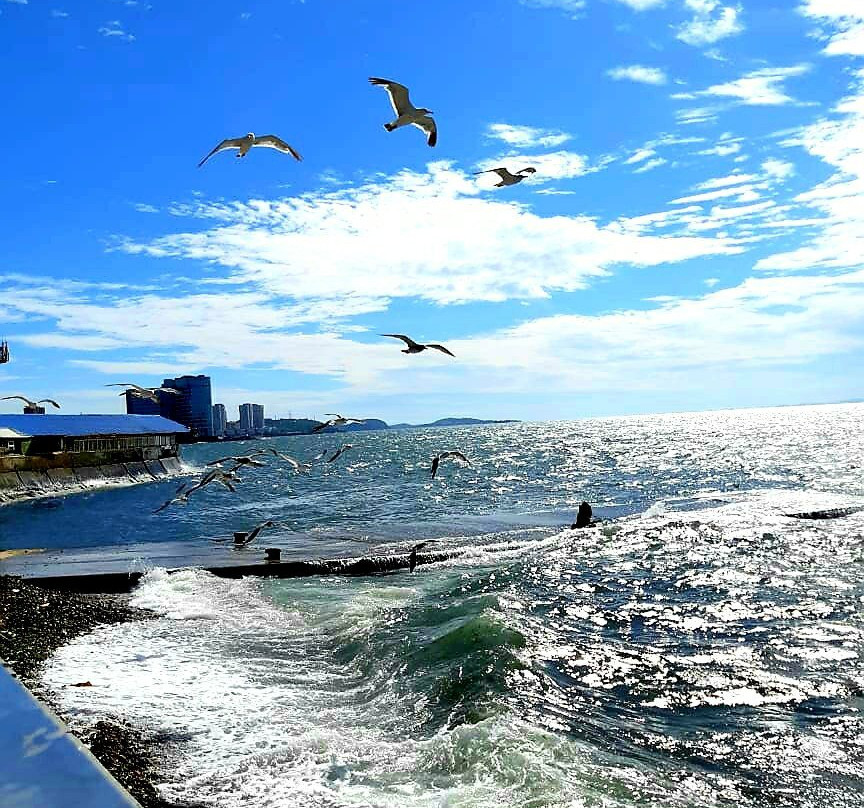 Sportivnaya Gavan-海参崴必去景点