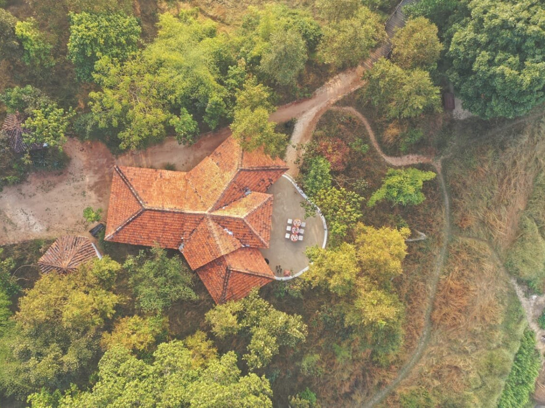Flame of the Forest Safari Lodge
