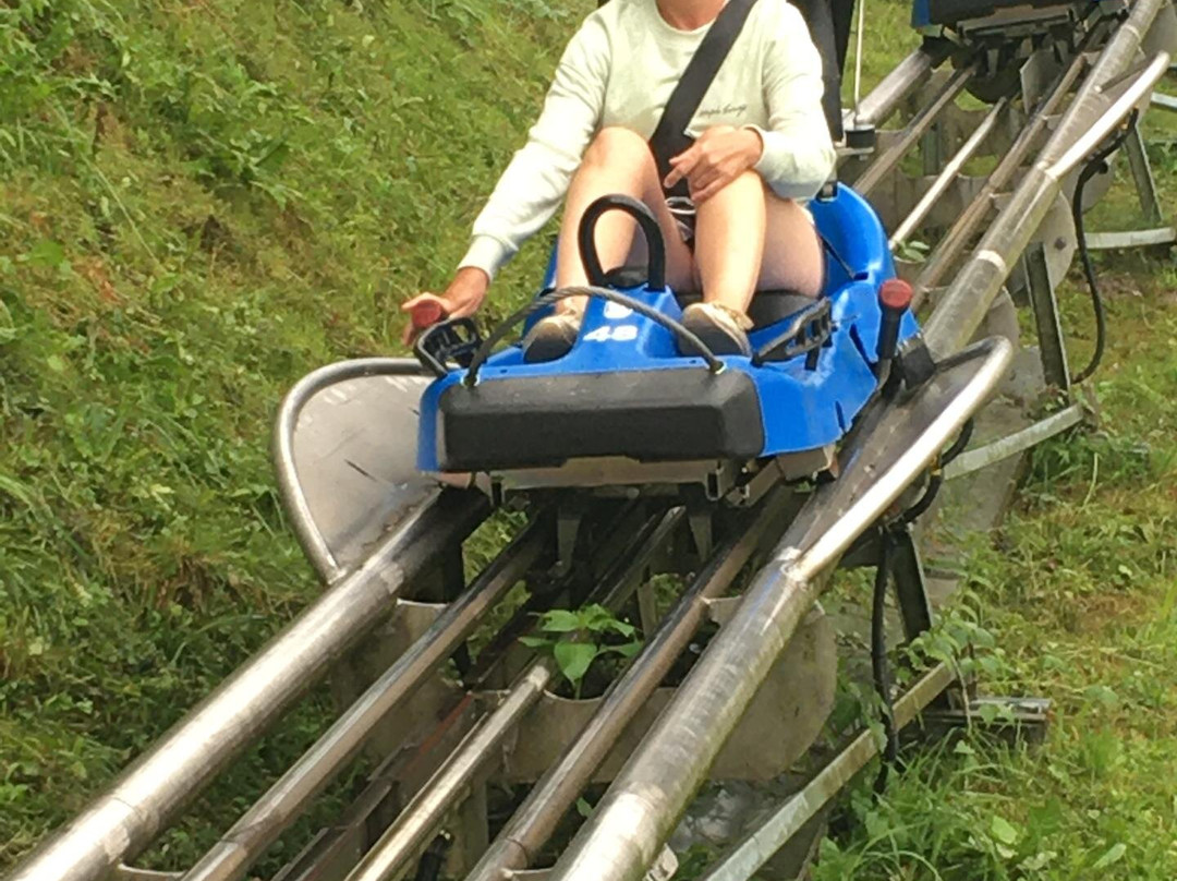 Alpine-Coaster-Golm-Latschau必去景点