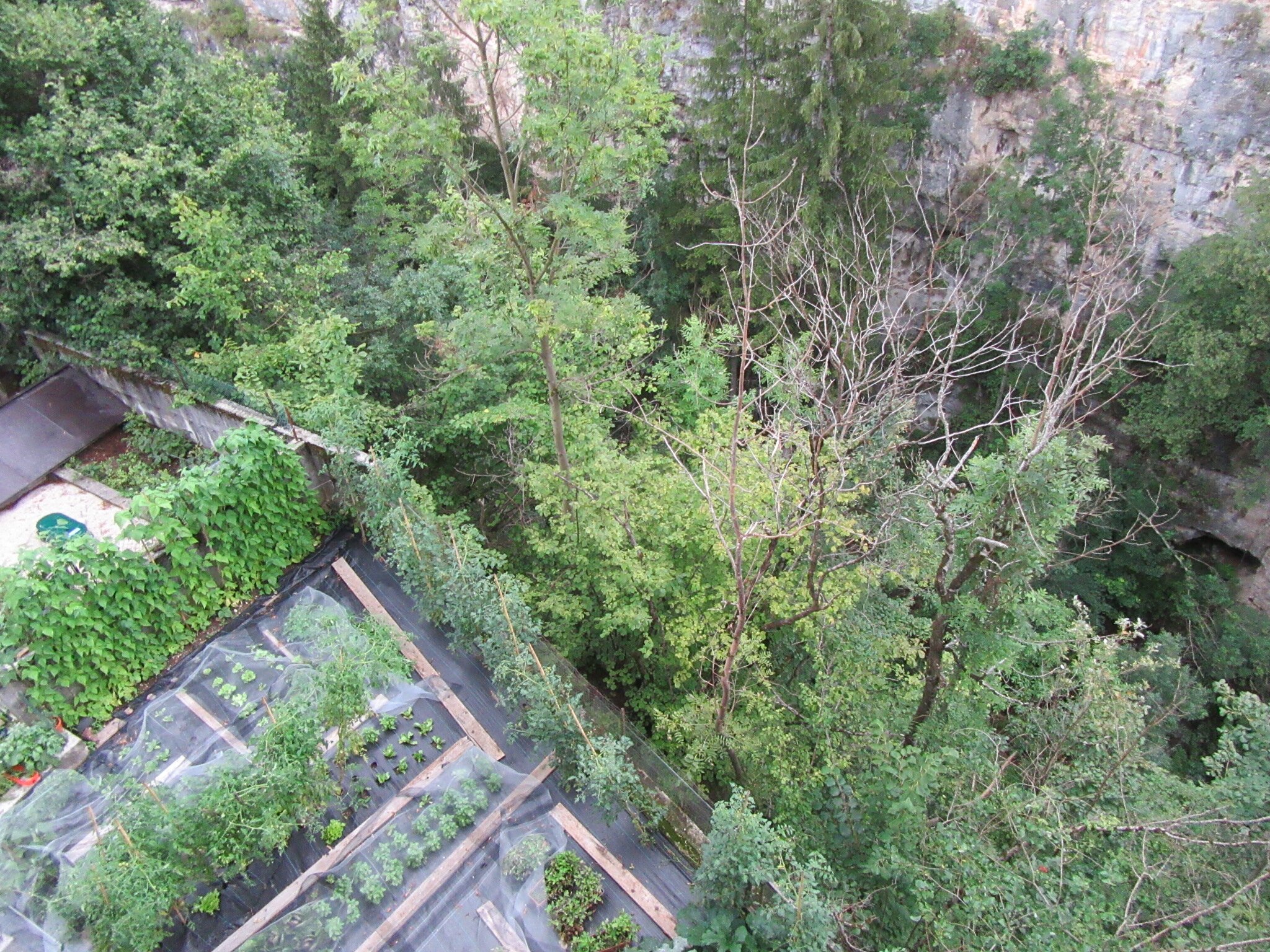 Room & Breakfast Al Canyon-酒店景观