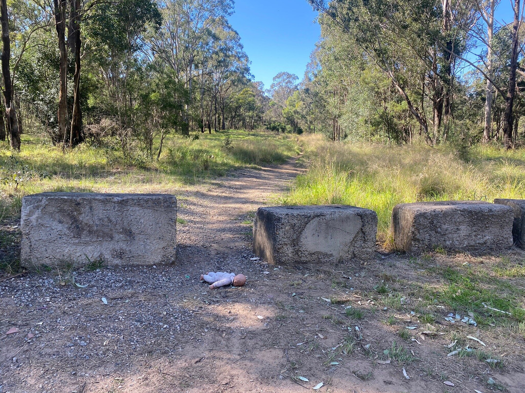 Ingleburn Reserve景点图片