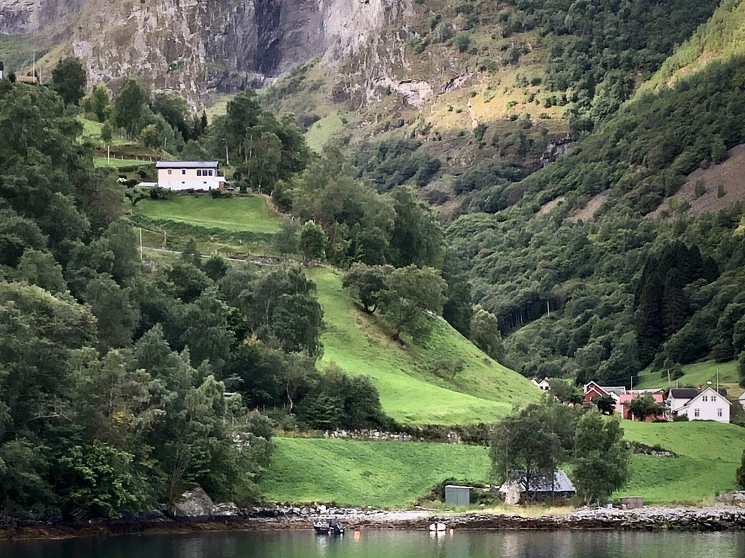 Naeroyfjord景点图片