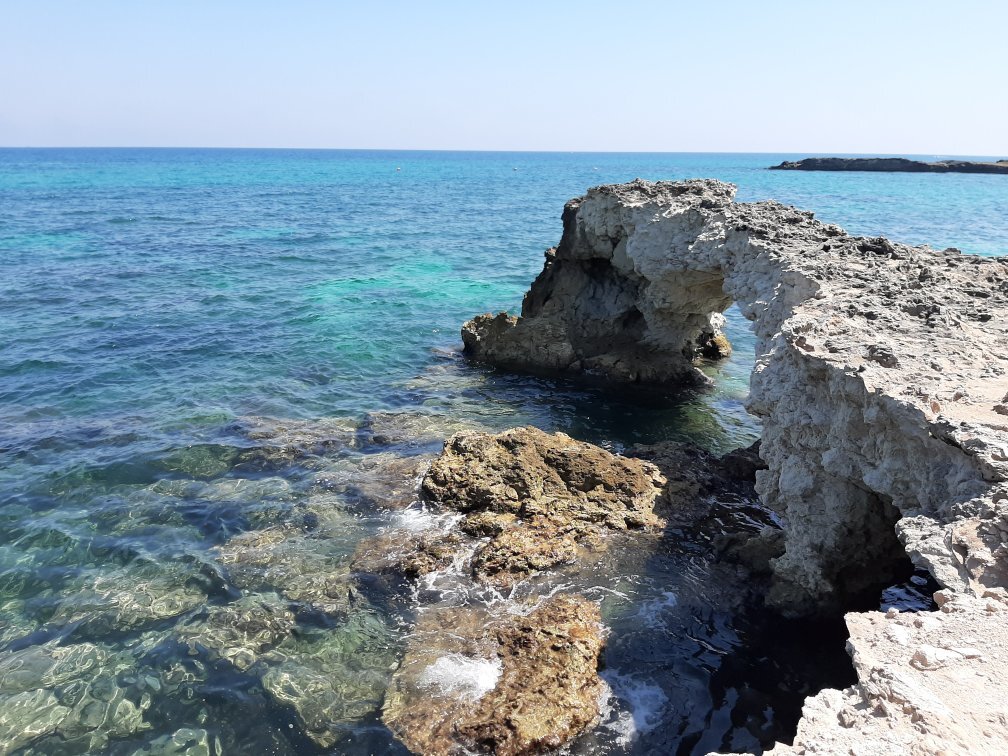 B&B Neptunia Fronte Mare-官方