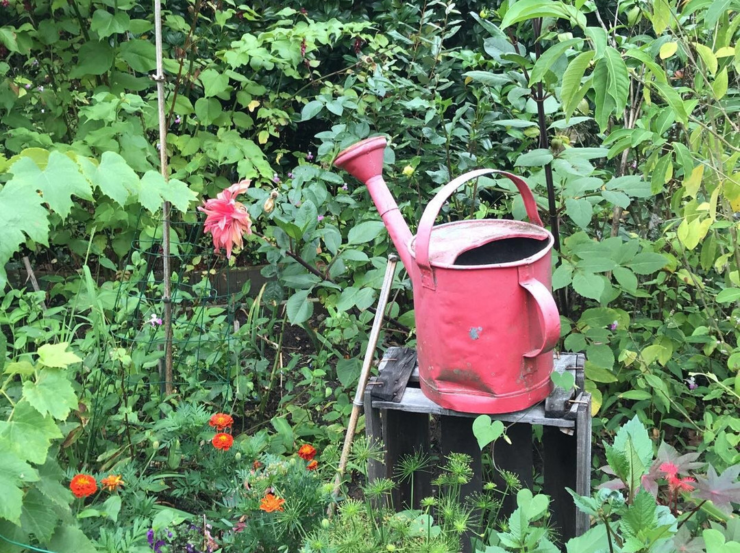 Jardins secrets主图