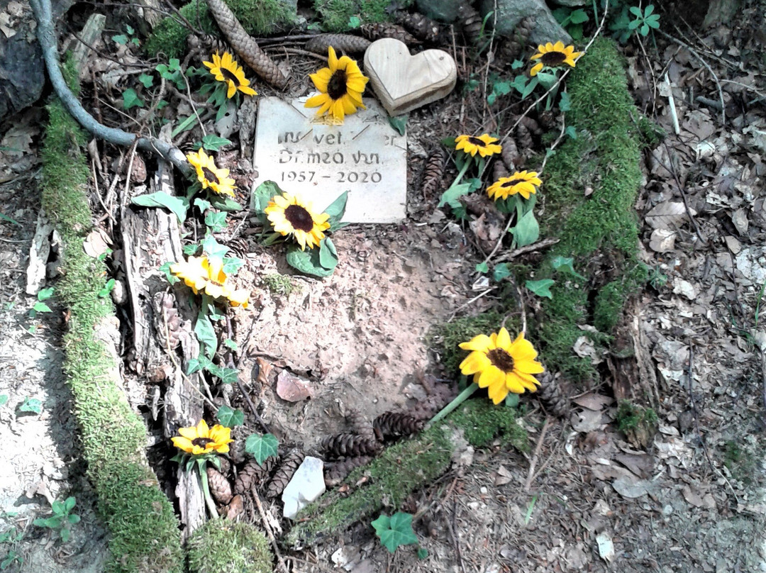 Ruhewald Wittnau-Wittnau必去景点