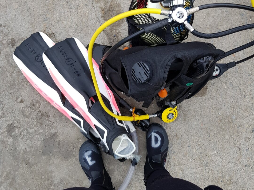 Xaloc Diving Center景点图片