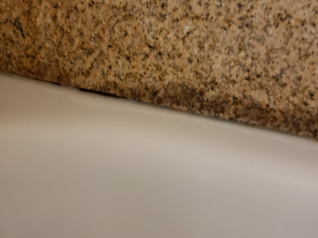 塔斯卡卢萨温盖特温德姆酒店主图