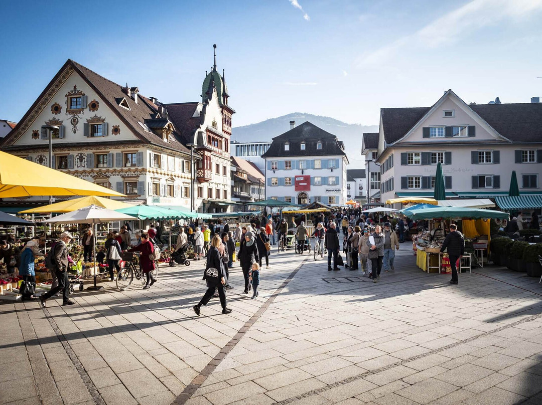 多恩比恩酒店住宿-Sonne1806 - Hotel Am Campus Dornbirn