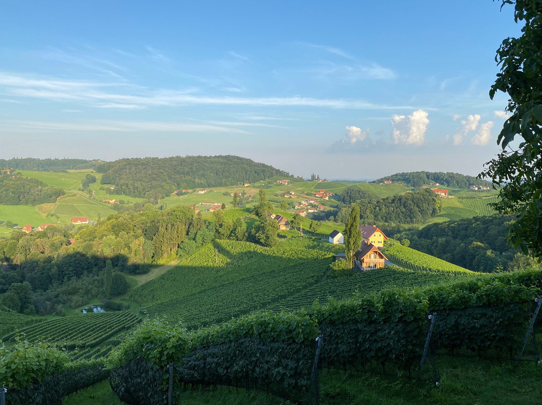 Weingut Wolfgang Maitz主图