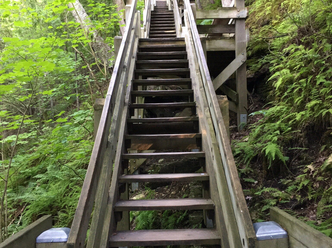 Mountain Park Lookout Tower-Washington Island必去景点