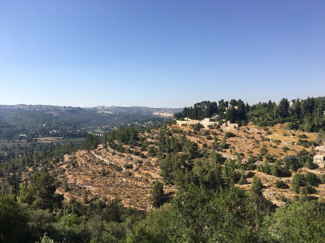 Church Of The Visitation-Ein Kerem必去景点