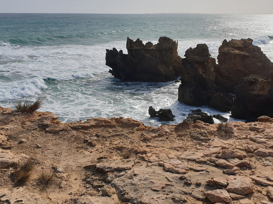 Cape Buffon景点图片
