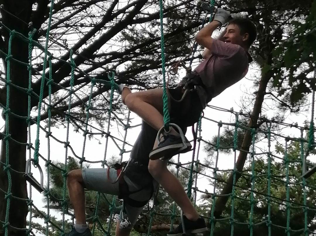 Piriac Adventure Tree climbing-Piriac-sur-Mer必去景点