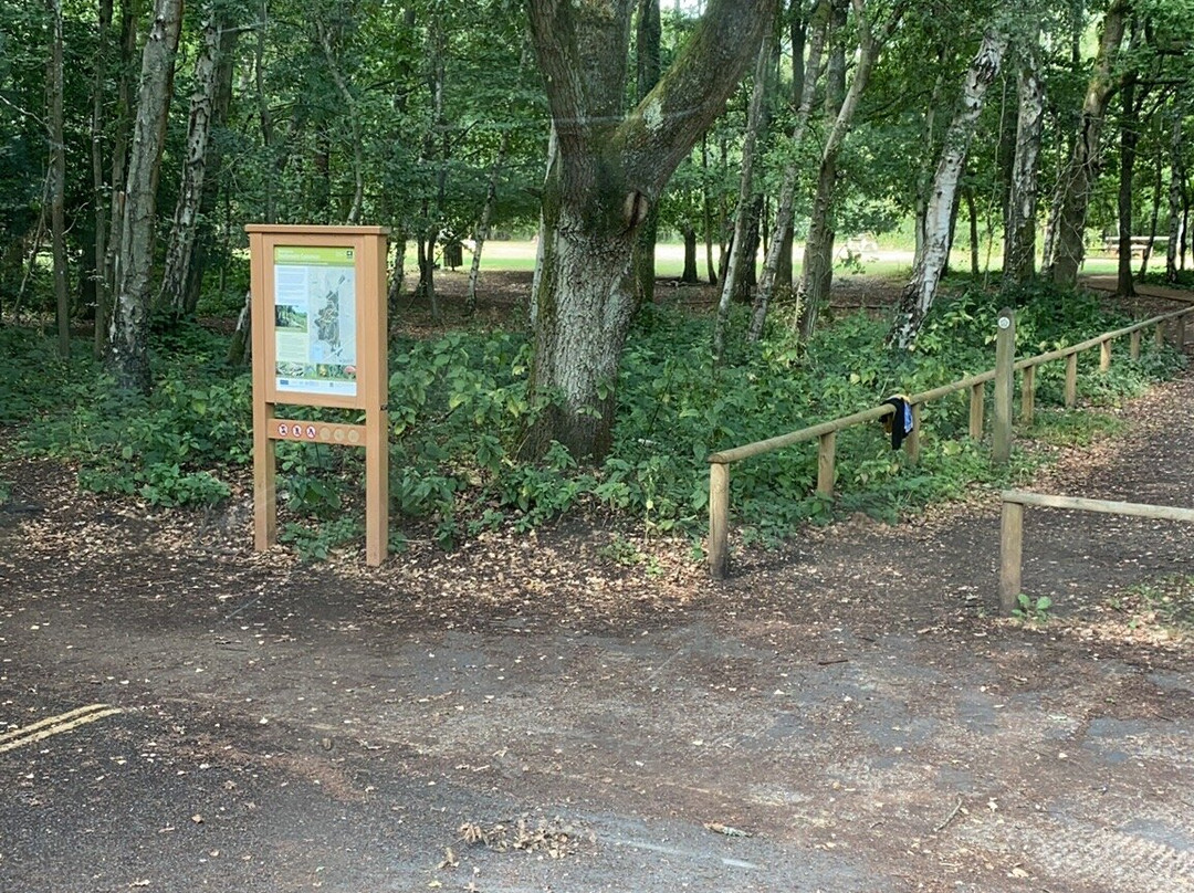 Snelsmore Common Country Park-纽伯里必去景点