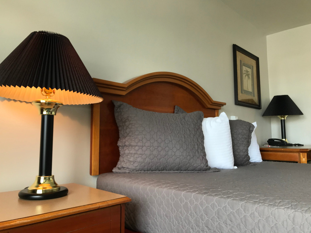 20th Century Motor Lodge主图