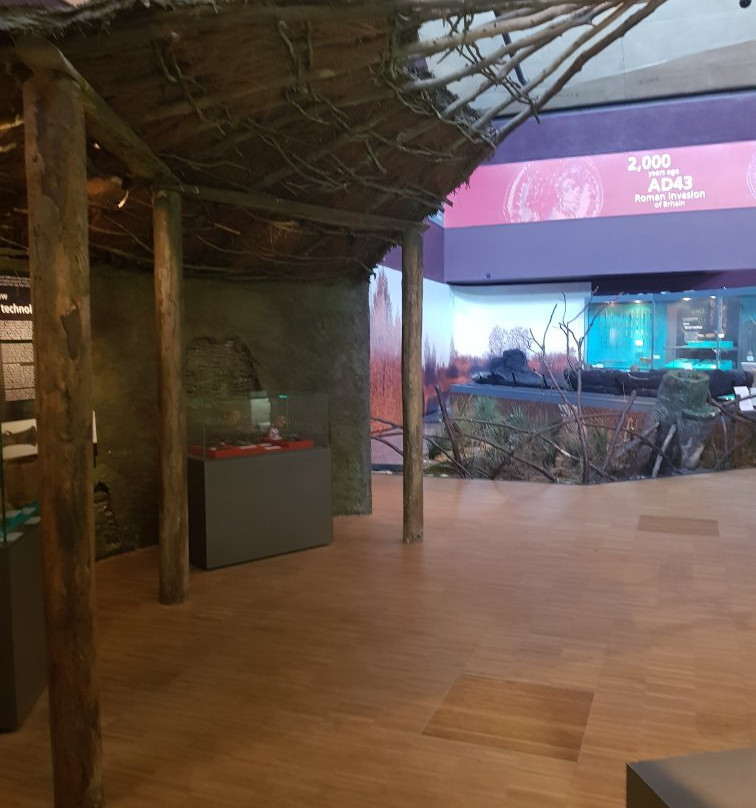 Lincoln Museum And Usher Gallery景点图片
