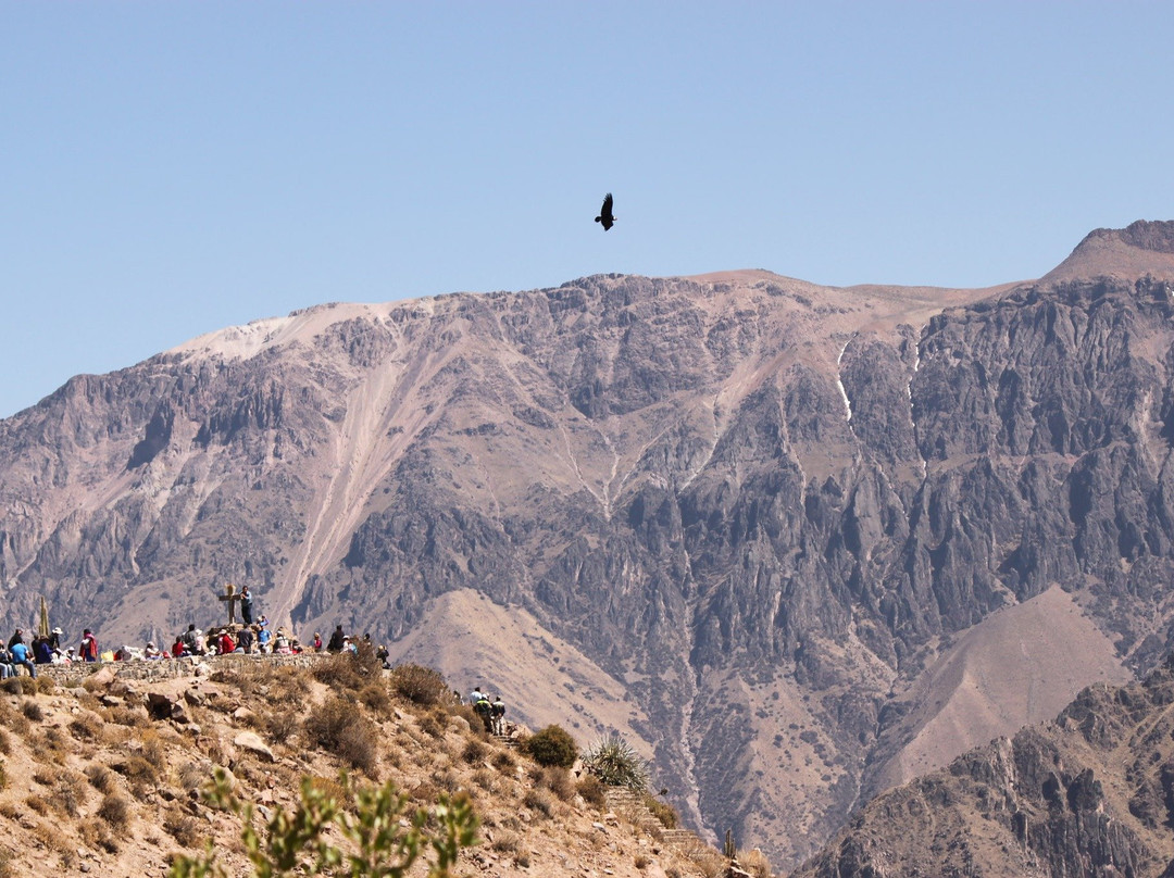 VIPAC Travel-阿雷基帕必去景点