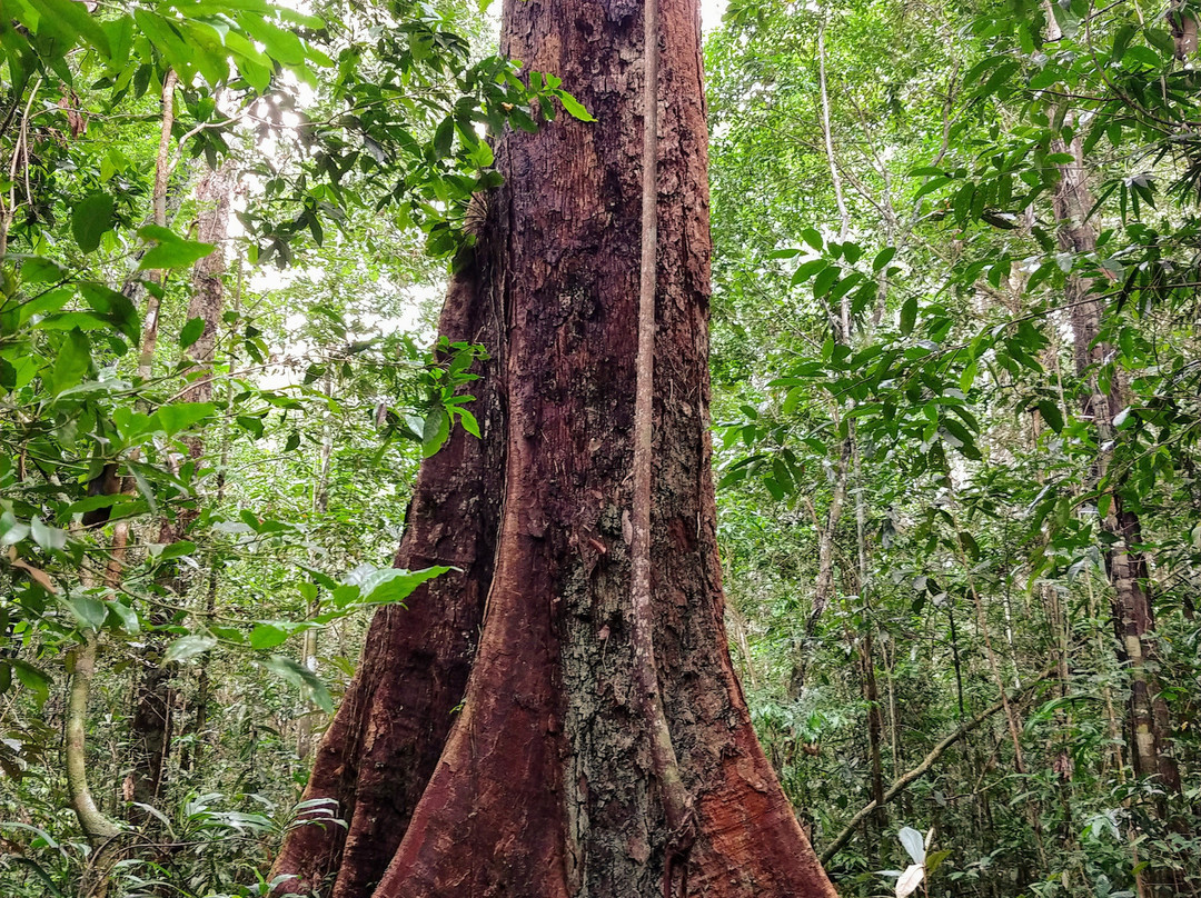Parque Nacional do Descobrimento-Prado必去景点