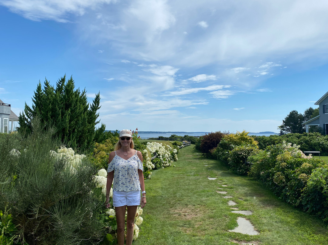 Black Point Inn主图