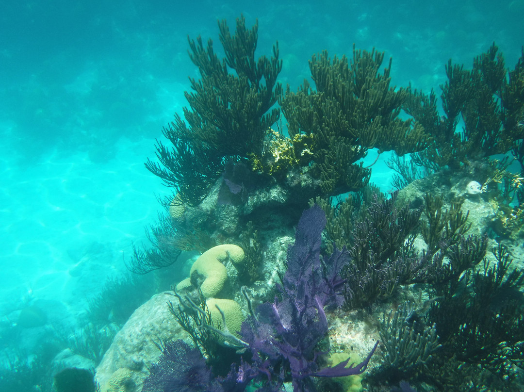 Under The Sea Charters-Somerset Village必去景点