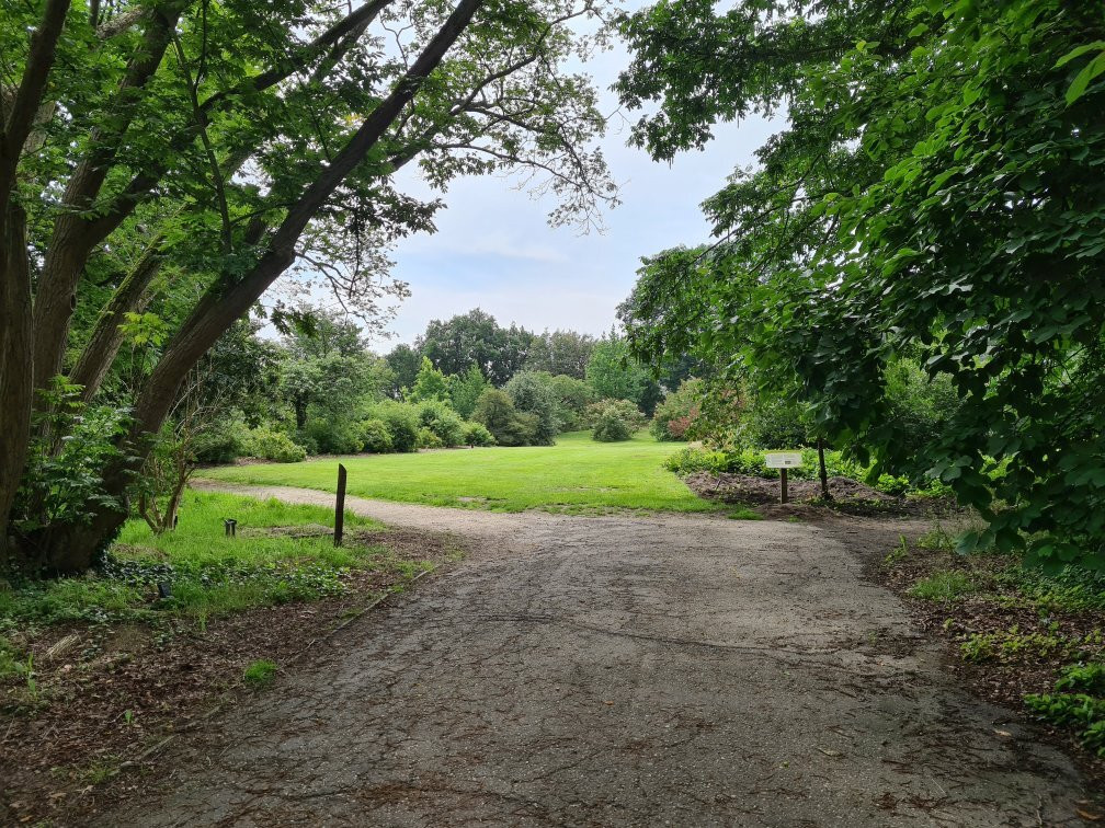 Belmonte Arboretum Wageningen景点图片