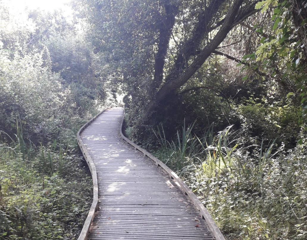 Le Marais de Trestel-Trevou-Treguignec必去景点