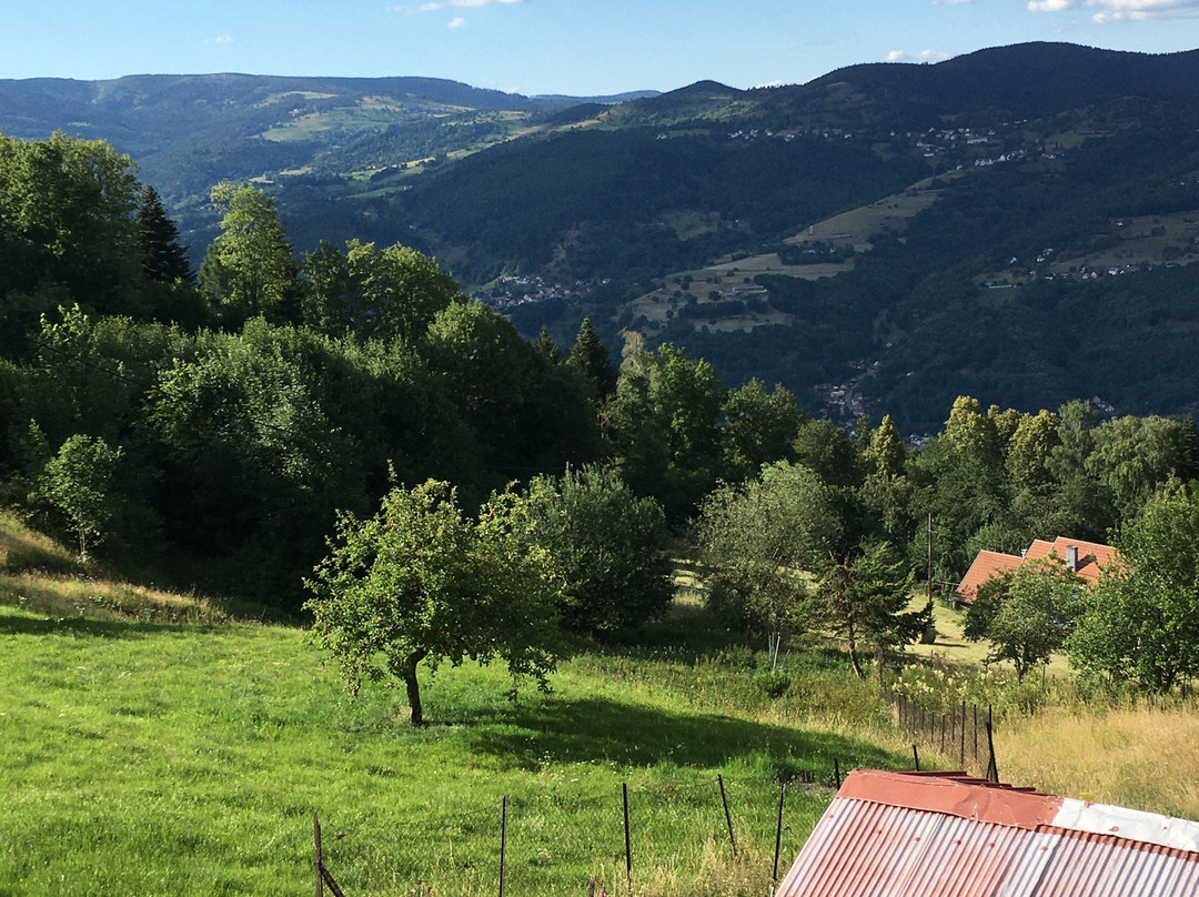 奥博索尔伯格旅馆主图