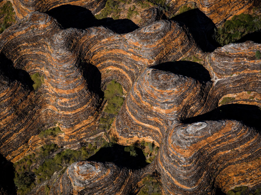 Bungle Bungle Guided Tours-Purnululu National Park必去景点