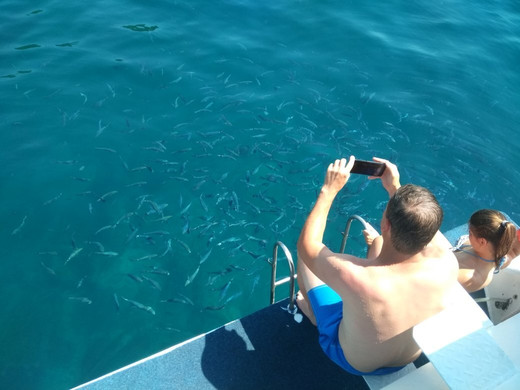 Flipper-普拉必去景点