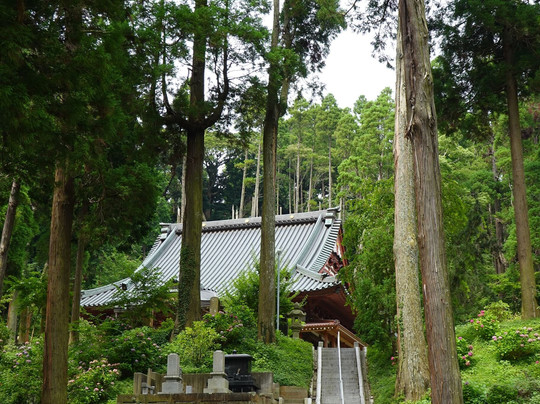 Honzen-ji Temple-东金市必去景点