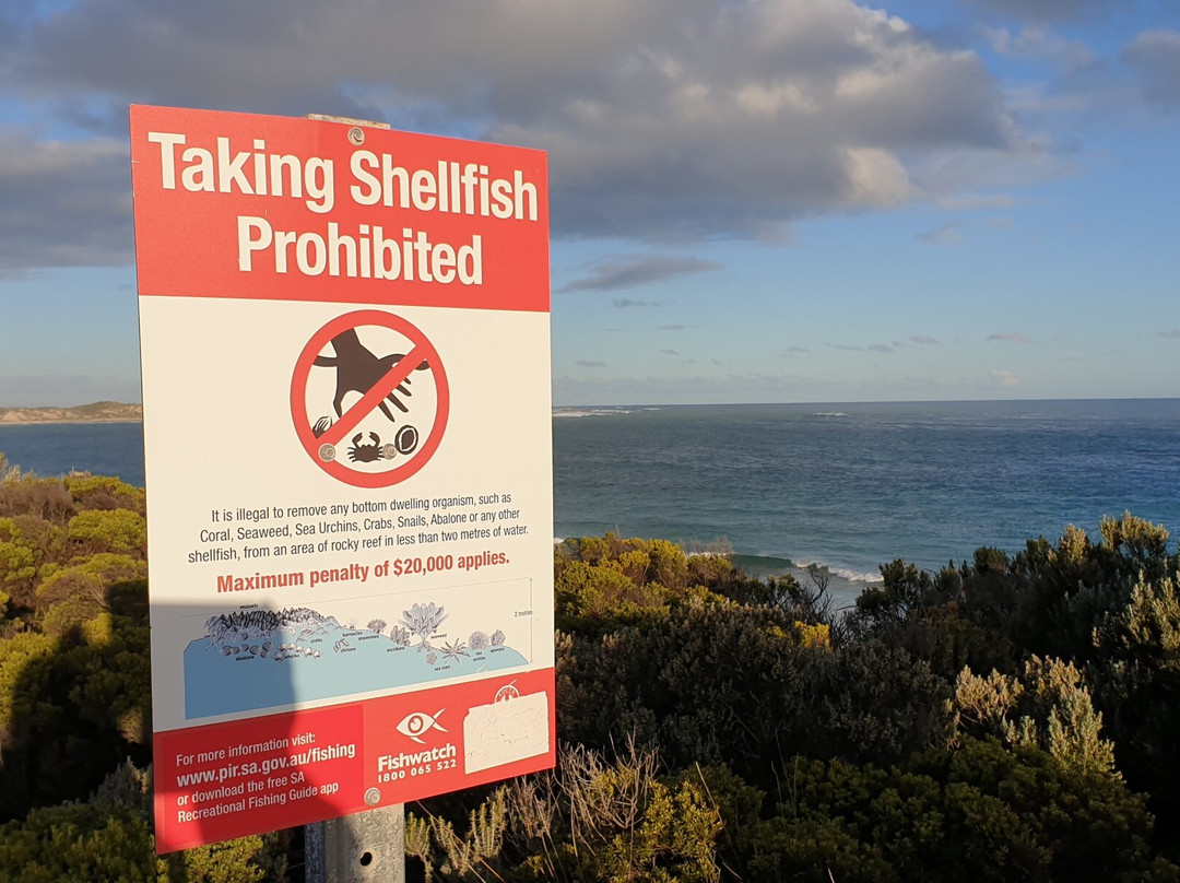Cape Banks Lighthouse-Carpenter's Rocks必去景点