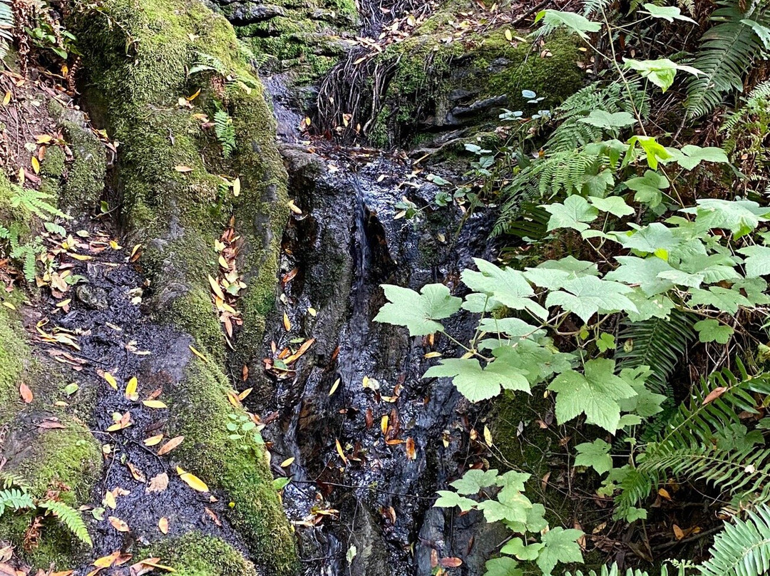 Point Reyes Hiking Trails-Point Reyes National Seashore必去景点