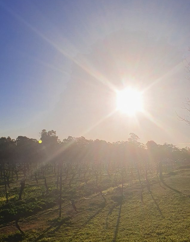 Blueberry Hill Vineyard Stay主图