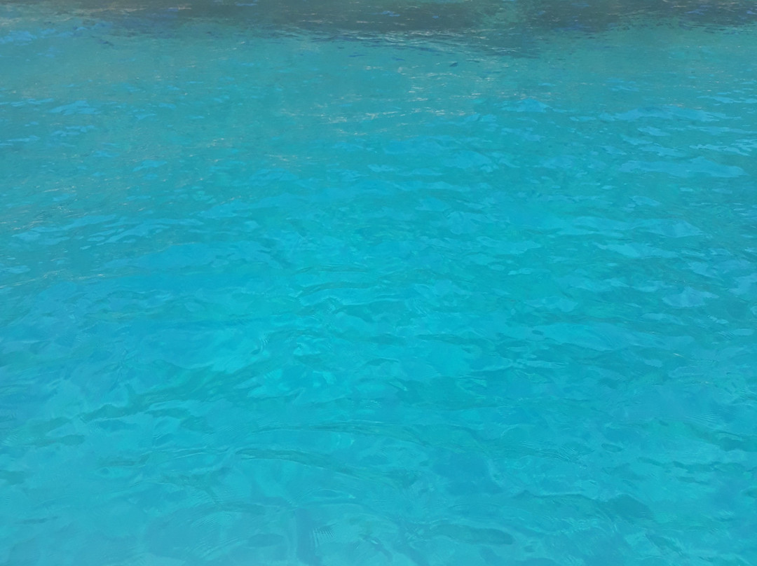 U Sapore Ru Mare Vero-Sapri必去景点