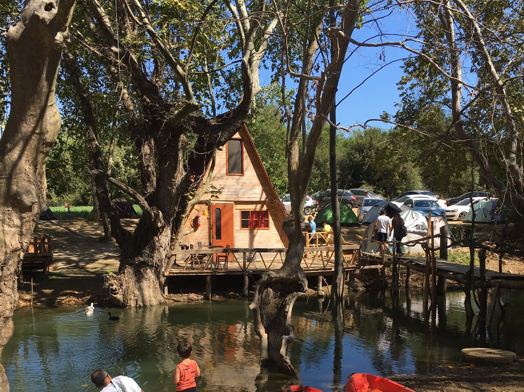 Mecidiye旅游攻略图片