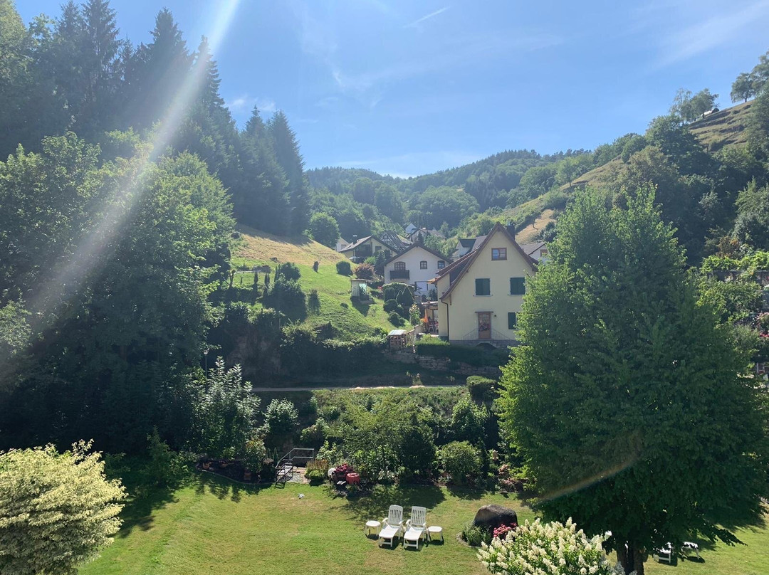 Hotel Rebstock Bühlertal主图