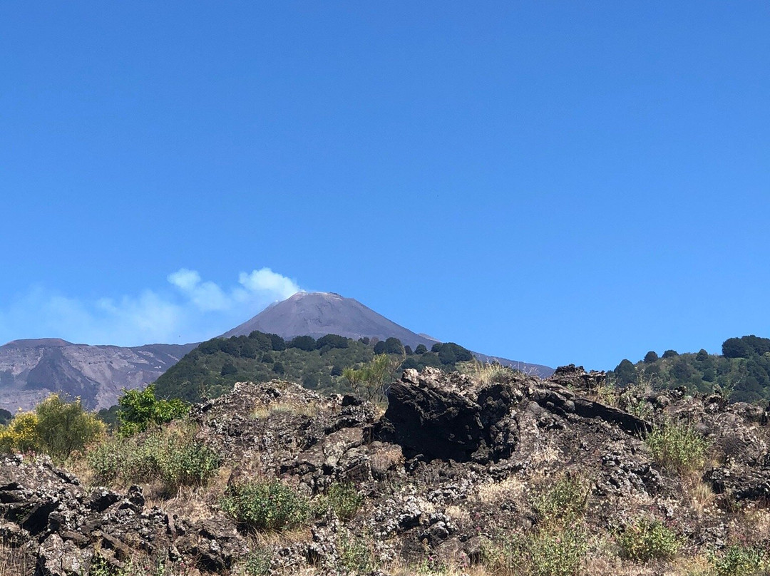 Exclusive Etna Excursion-卡塔尼亚必去景点