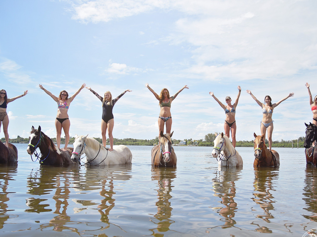 Florida Beach Horses-布雷登顿必去景点