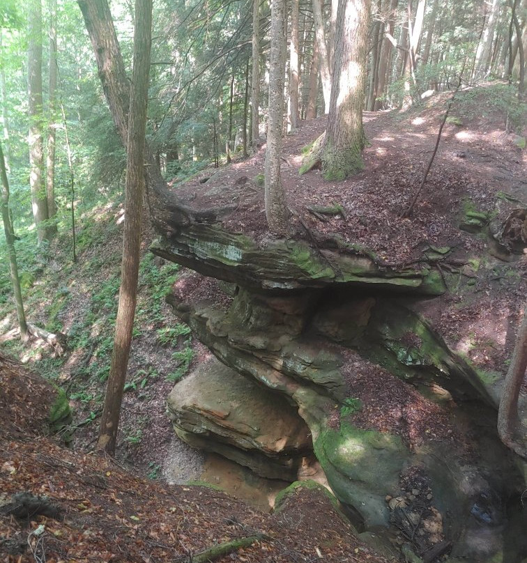 Hemlock Bridge Trail景点图片