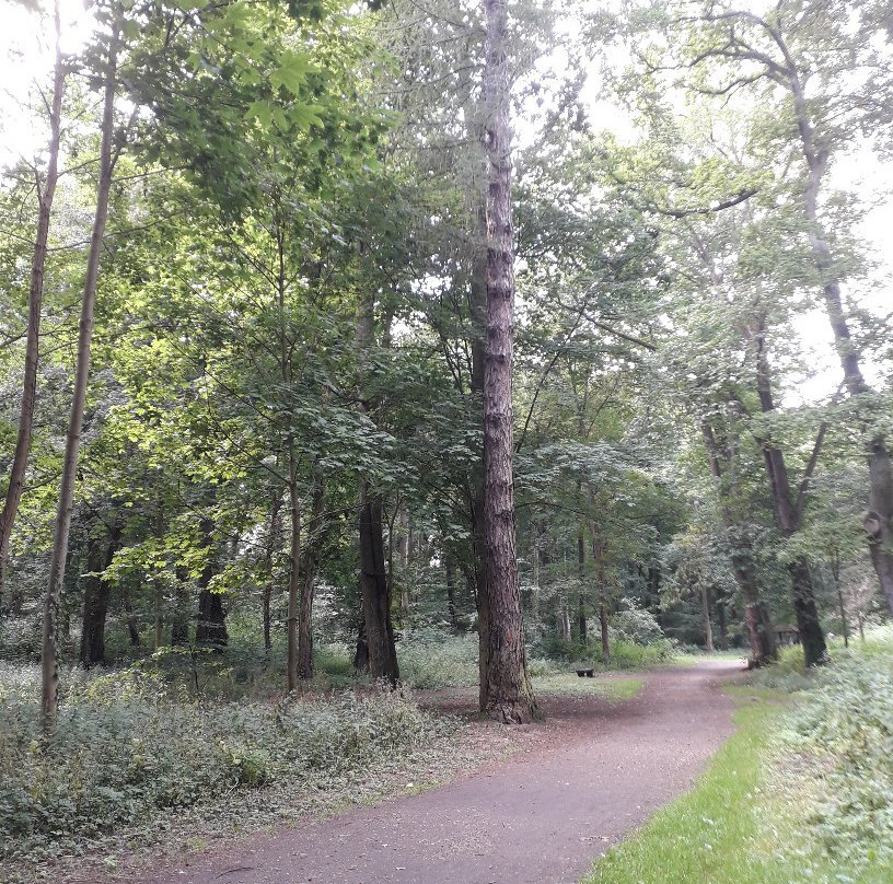 Beech Forest (Puszcza Bukowa), Szczecin景点图片