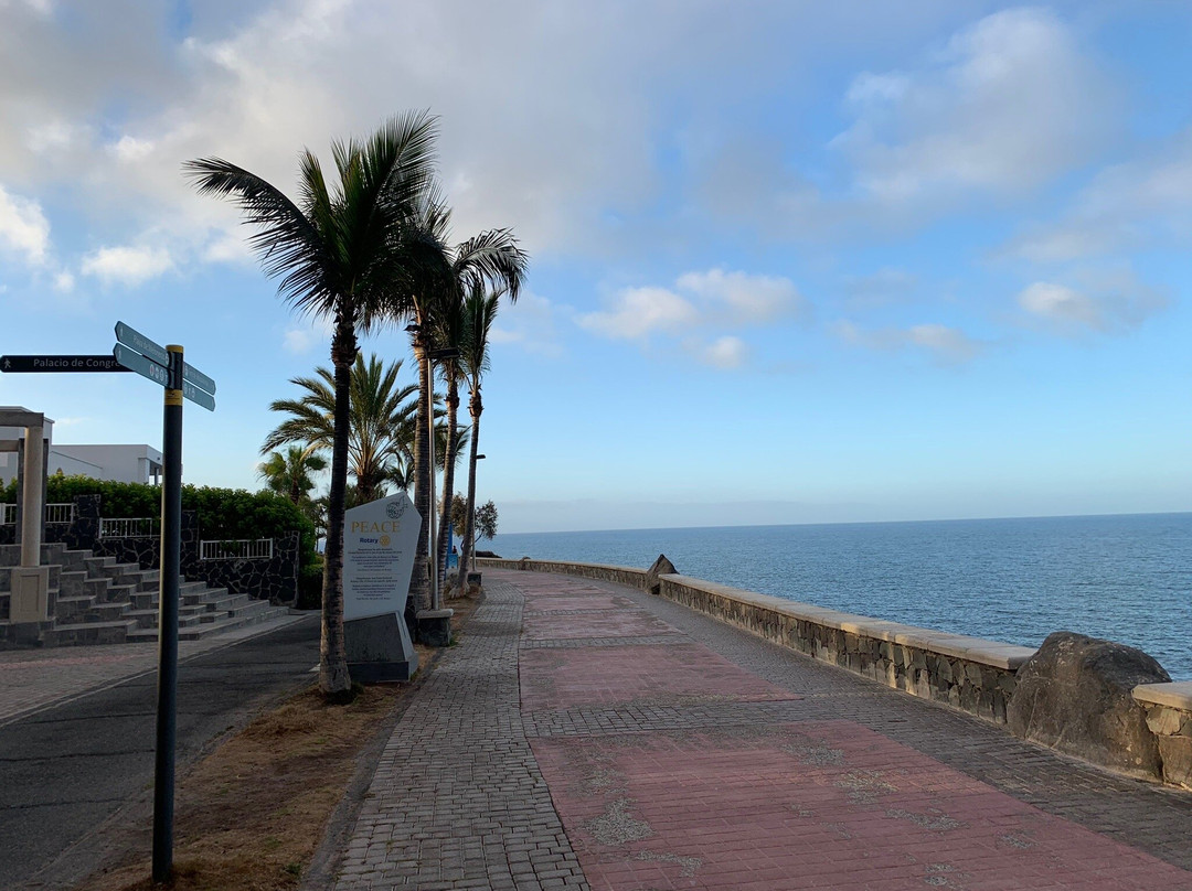 Boulevard El Faro景点图片