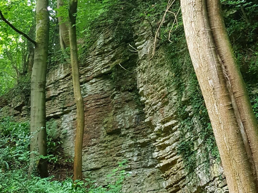Wenlock Edge-Much Wenlock必去景点
